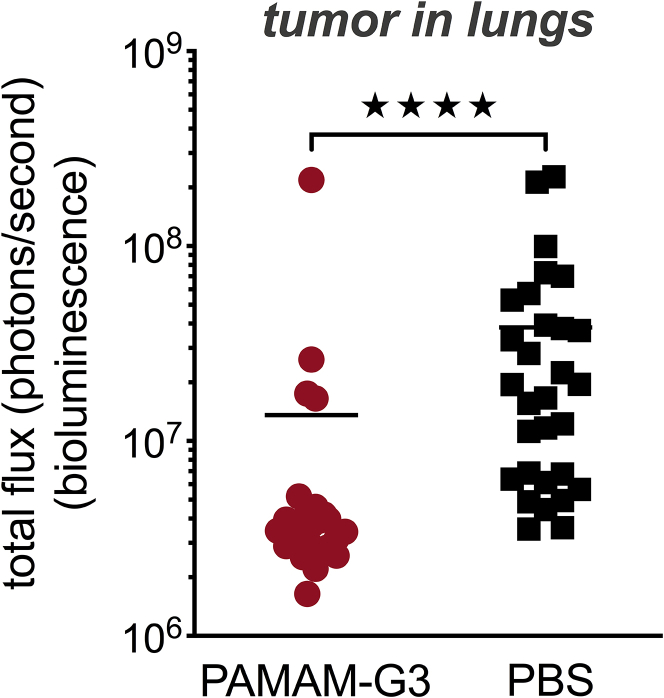 Figure 5