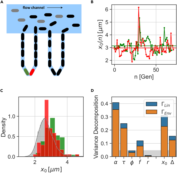 Figure 4