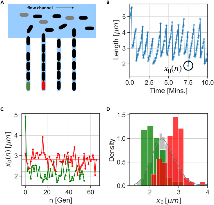 Figure 1