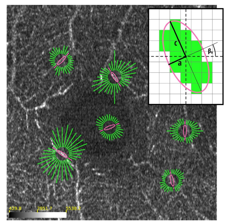 Fig. 3