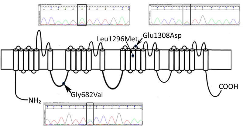 Figure 2.