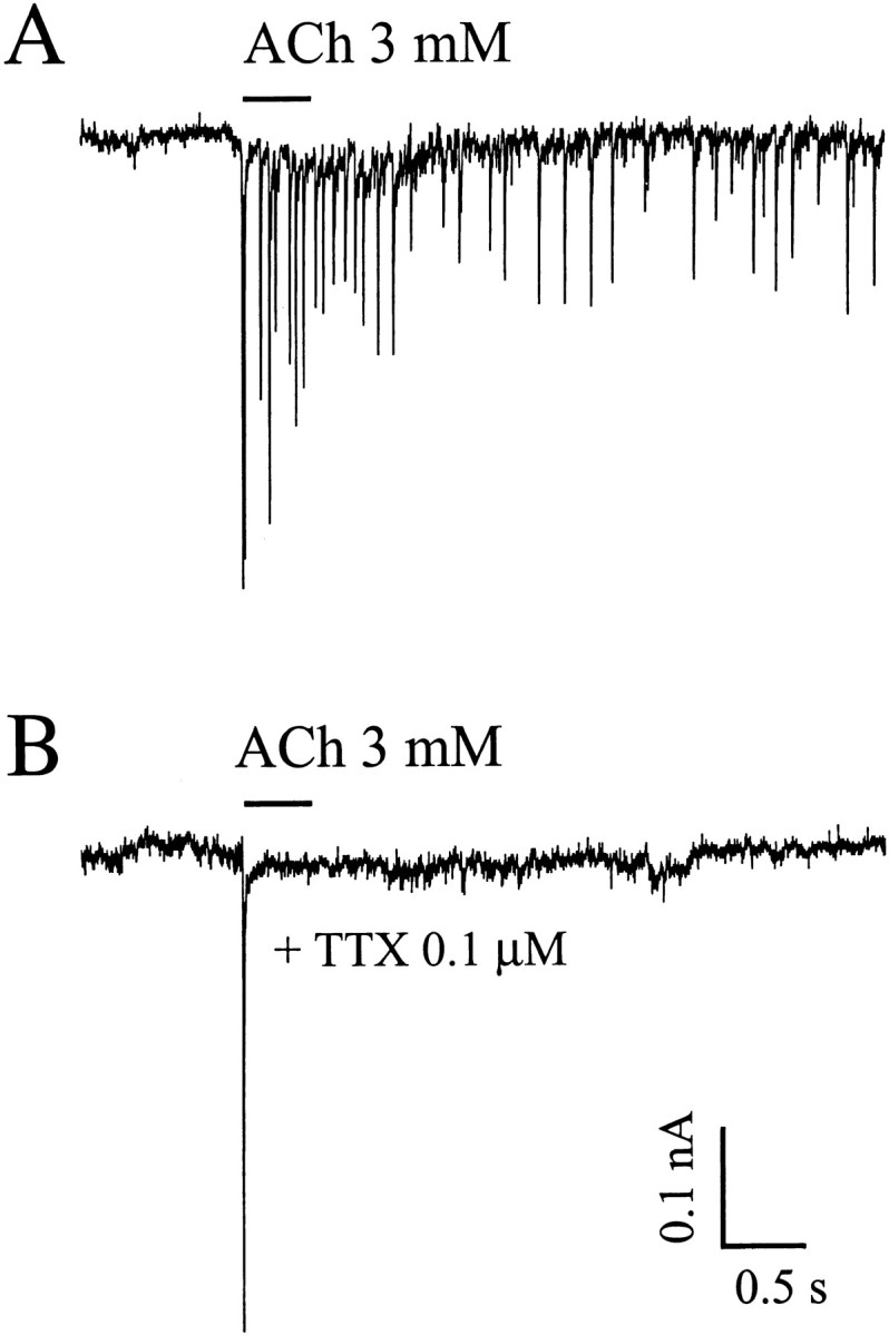 Fig. 10.