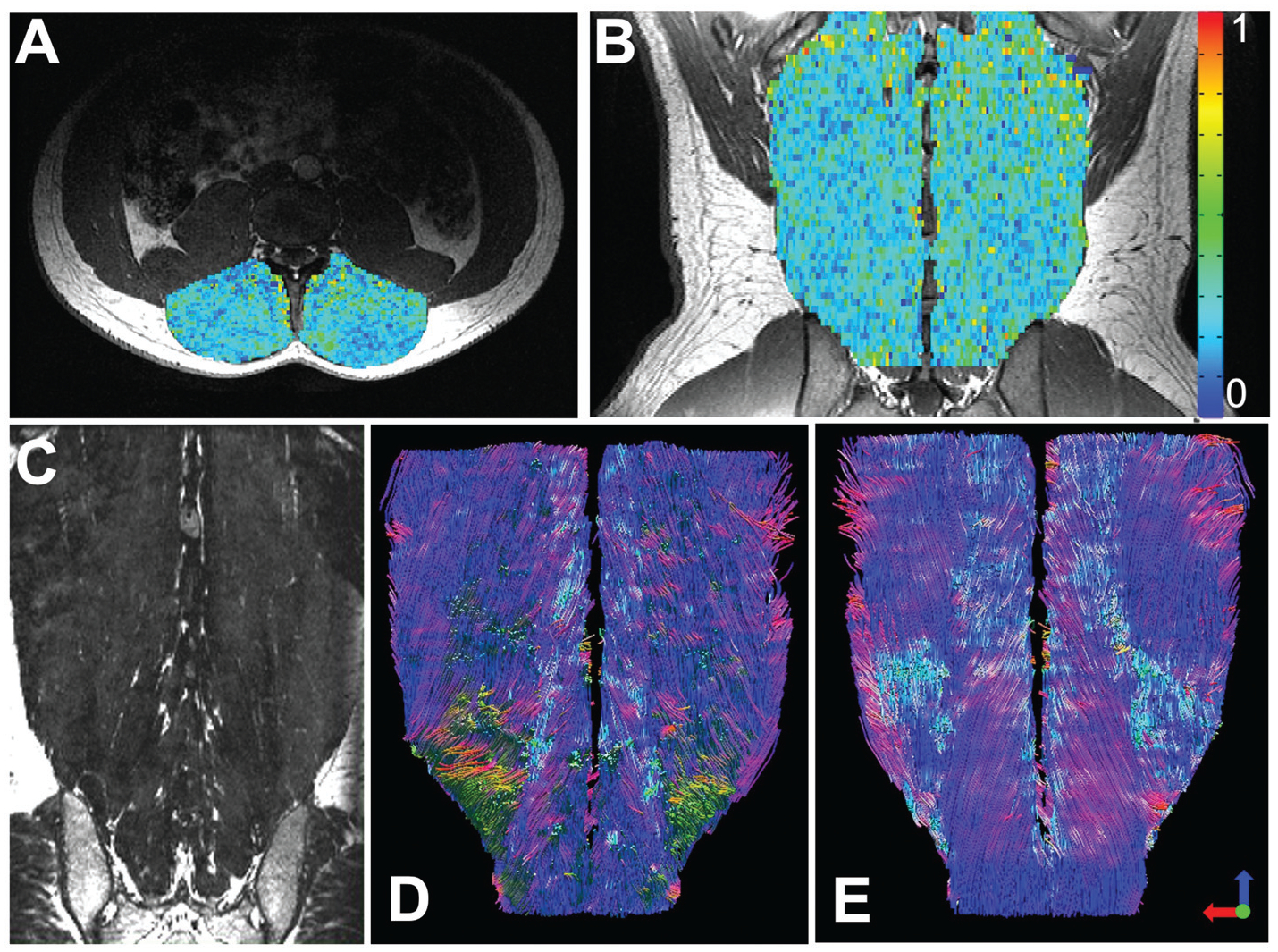 Fig. 5