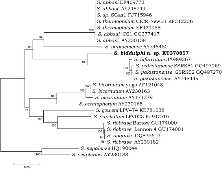 Fig. 4