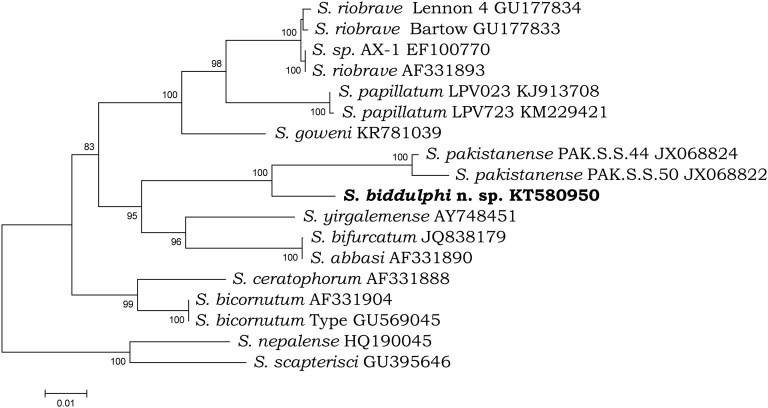 Fig. 5