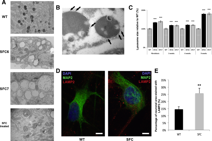 Figure 4