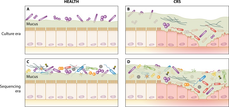 FIG 2