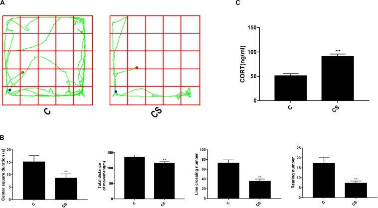 FIGURE 1