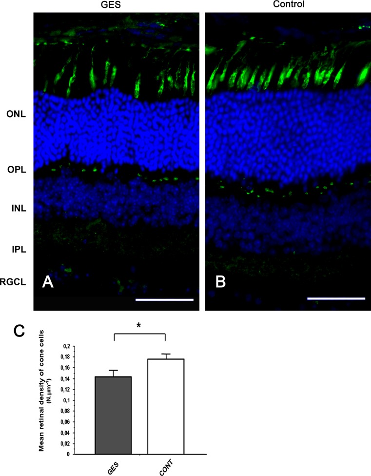 Fig. 7