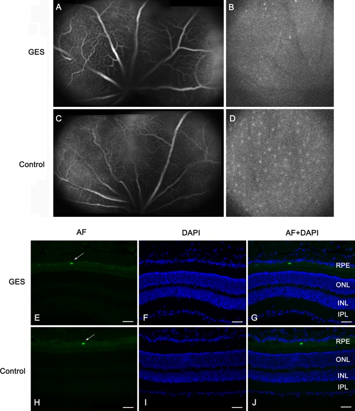 Fig. 4