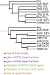 Fig. 6.