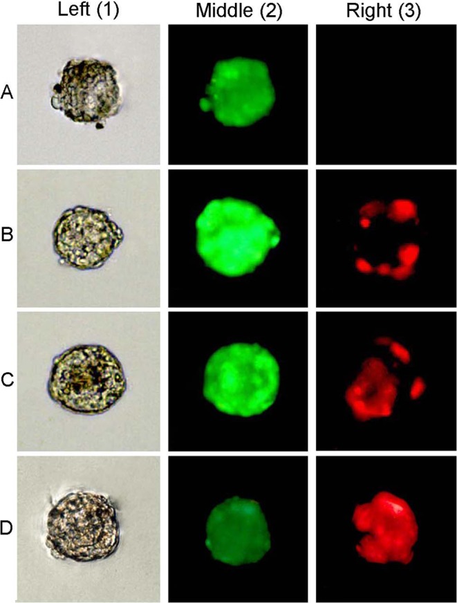 Fig. 2.