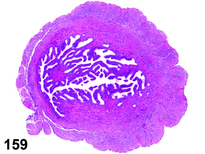 Figure 159