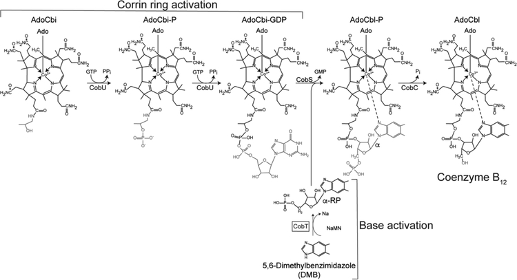 Figure 3.