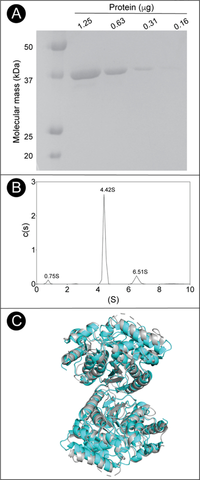 Figure 11.