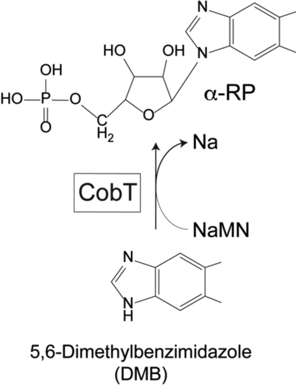 Figure 2.