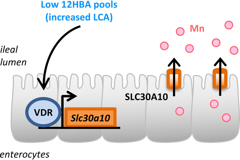 Figure 6.