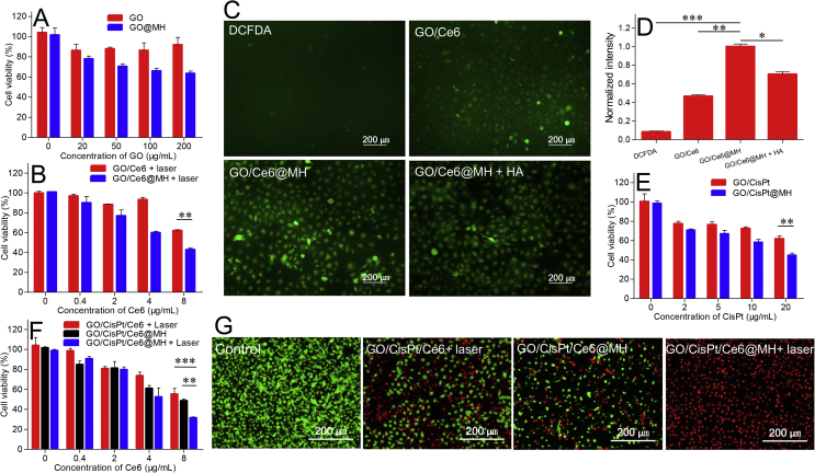 Figure 4