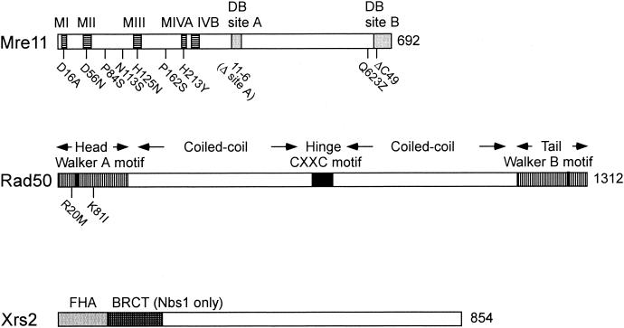 FIG. 8.