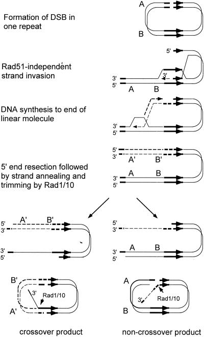 FIG. 14.