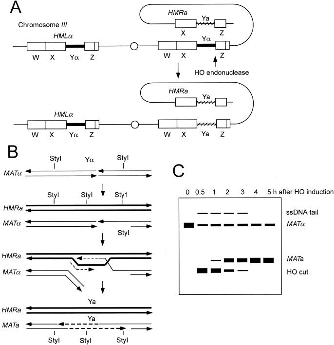 FIG. 5.