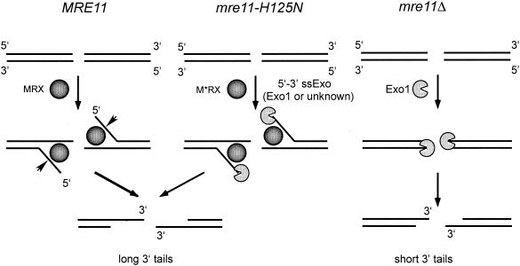 FIG. 10.