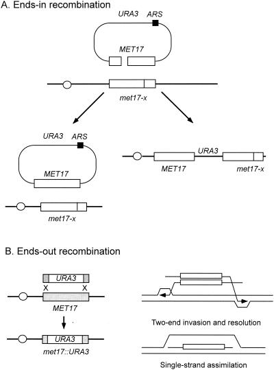 FIG. 6.