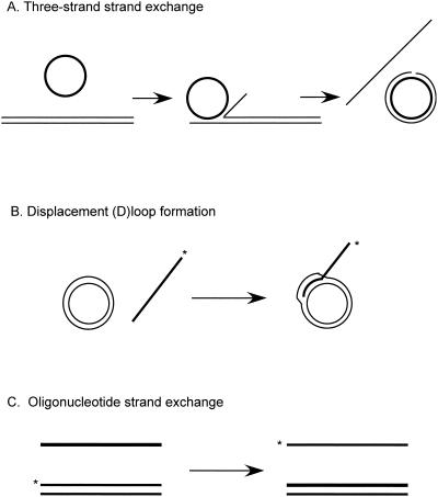 FIG. 12.