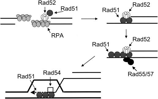 FIG. 15.