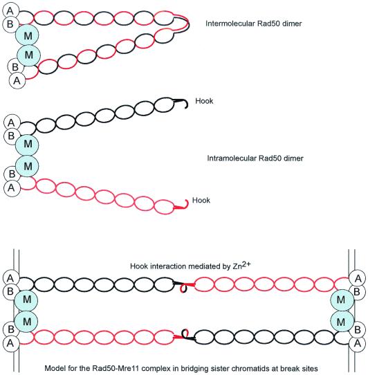 FIG. 9.