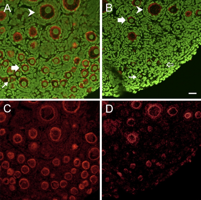 FIG. 9.