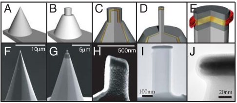 Fig. 2.