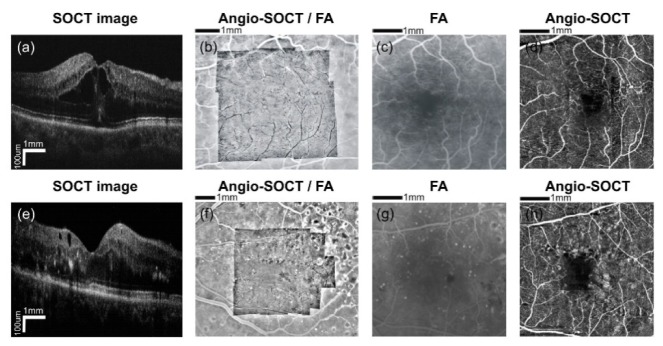 Fig. 9