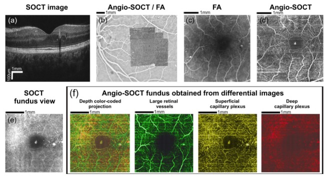 Fig. 7