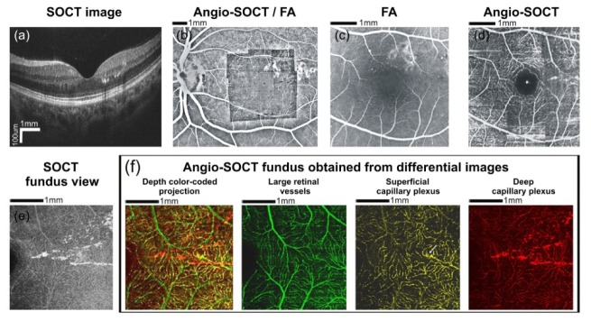 Fig. 6