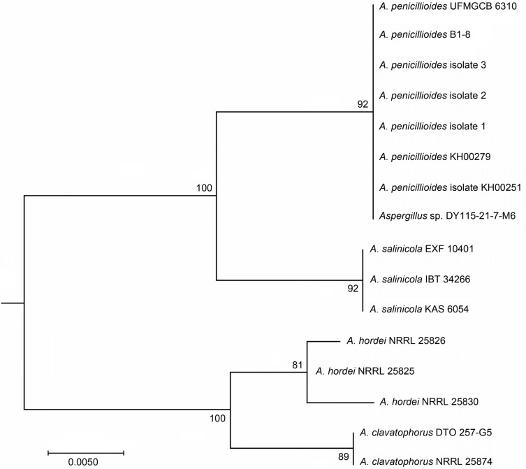 Fig. 8.