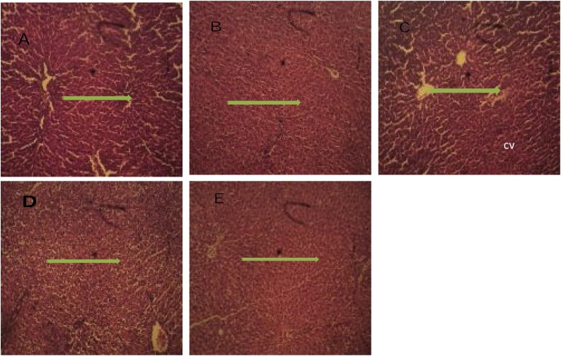 Fig. 7