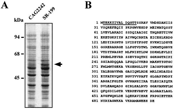 FIG. 4