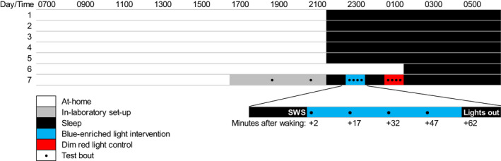 FIGURE 1