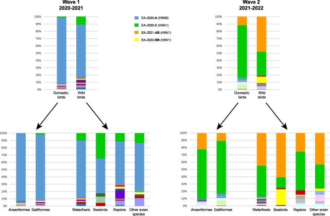 Alt text: Bar-plots of the HPAI A(H5Nx) genotypes frequency per host species.