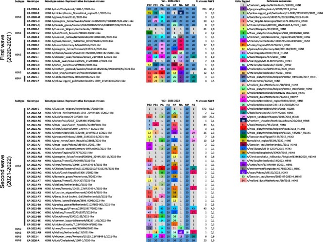 Alt text: List of the European HPAI A(H5Nx) genotypes and their gene composition.