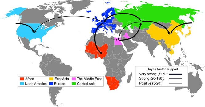 Alt text: World map with arrows showing the virus movements between the distinct geographic regions