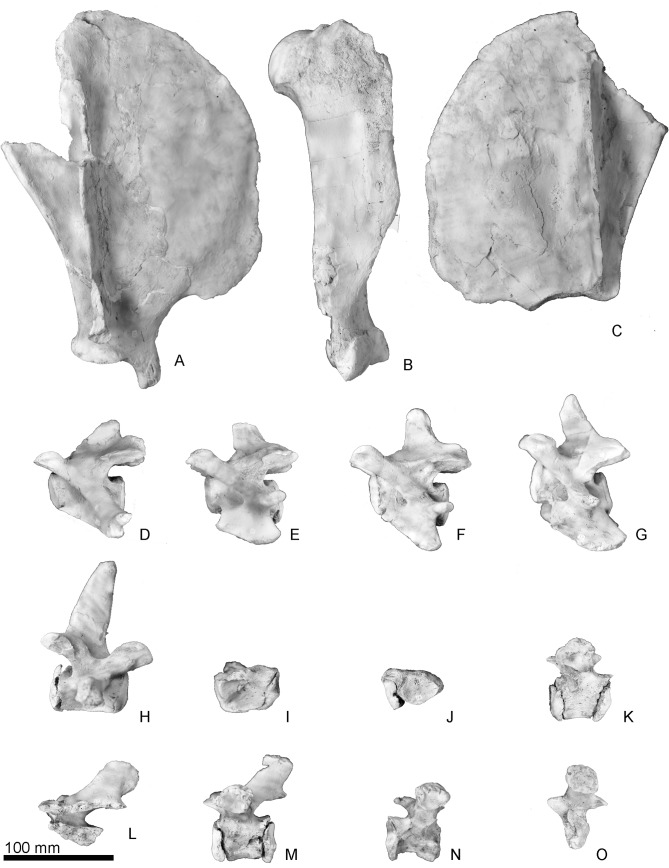 Fig 10