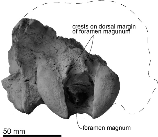 Fig 5