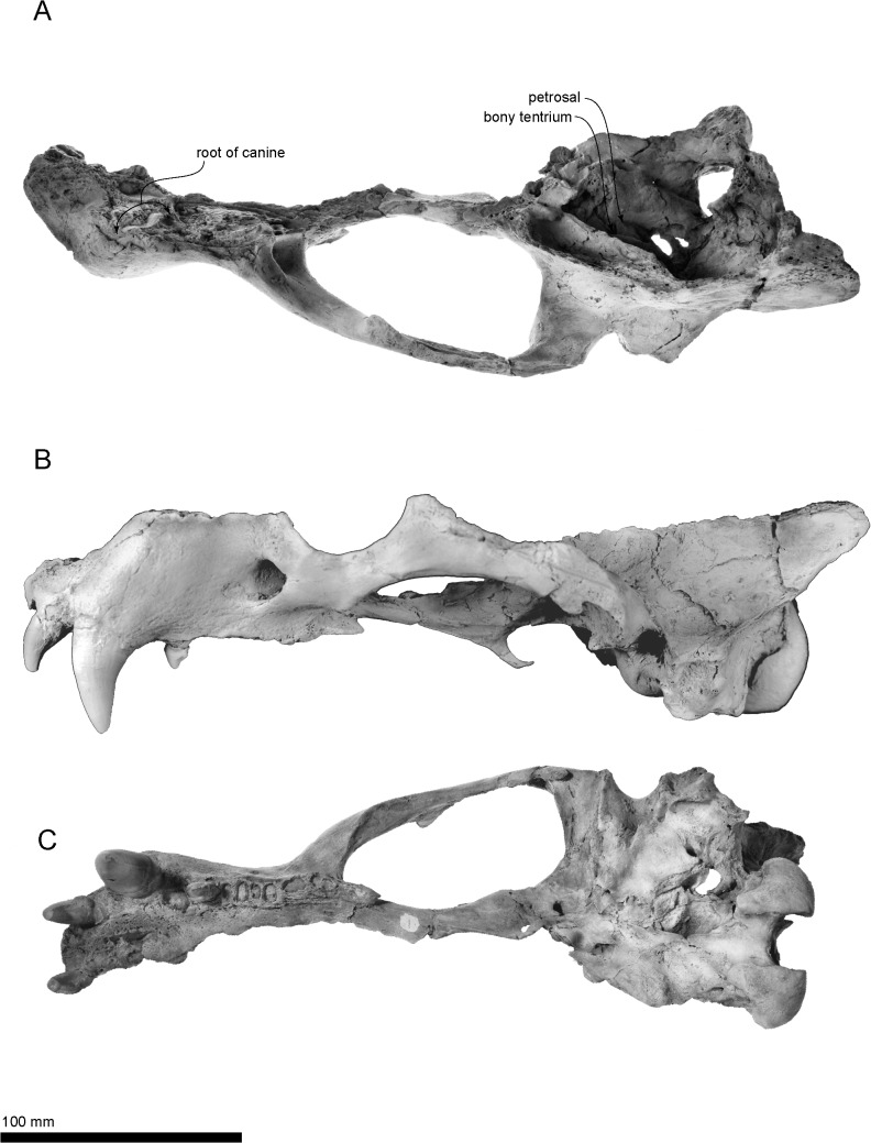 Fig 3