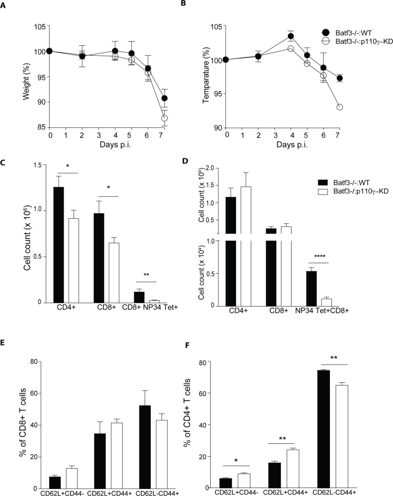 Fig 8