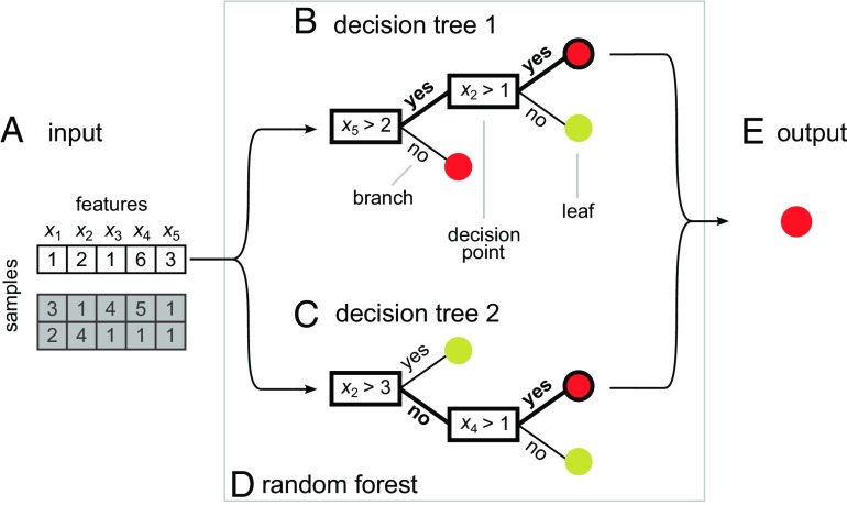 Fig. 1.