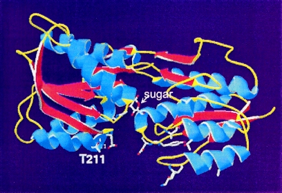 FIG. 7.