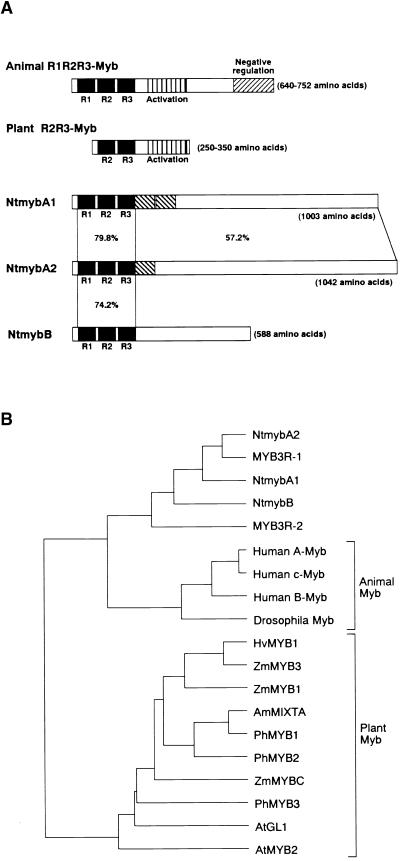 Figure 3.