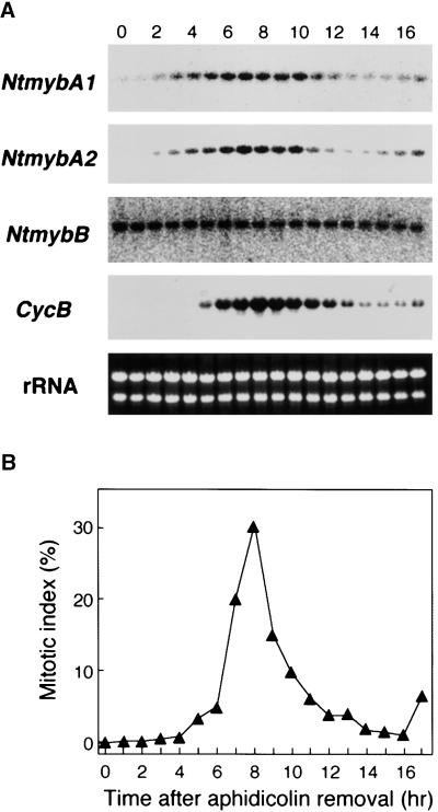 Figure 5.